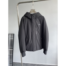 Zegna Down Jackets